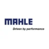mahle 1